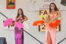 falunap2014_13_20180901